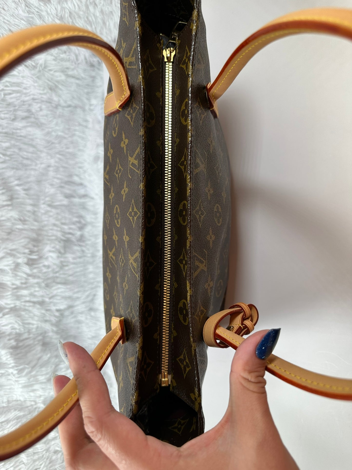 LOUIS VUITTON Raspail Tote PM (2011)