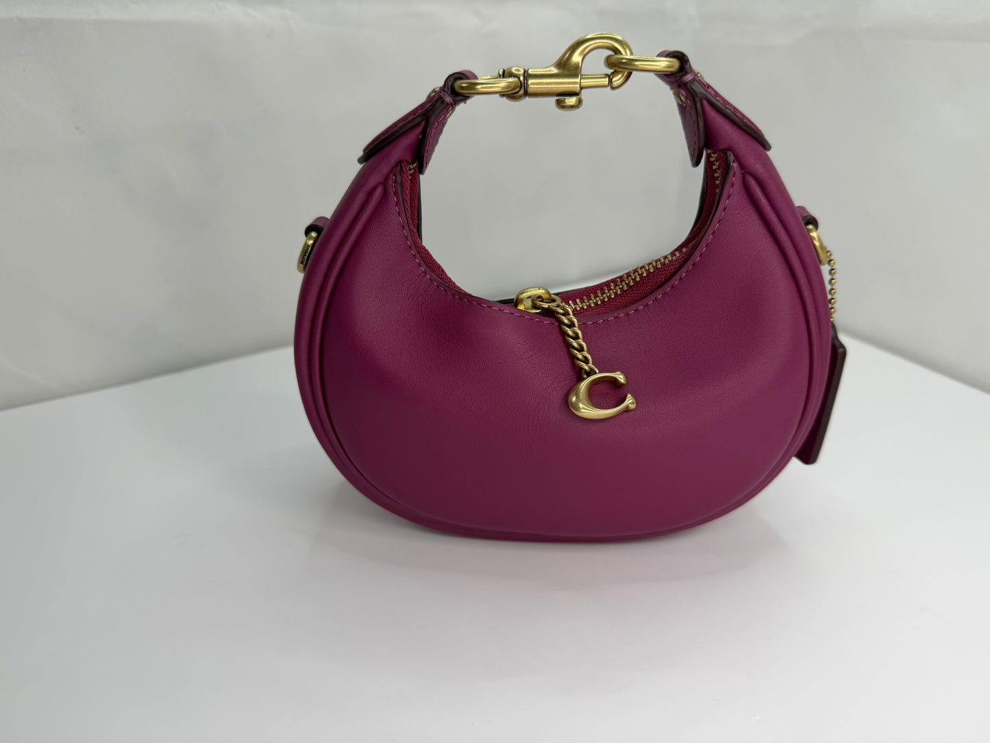 COACH Mini Crossbody