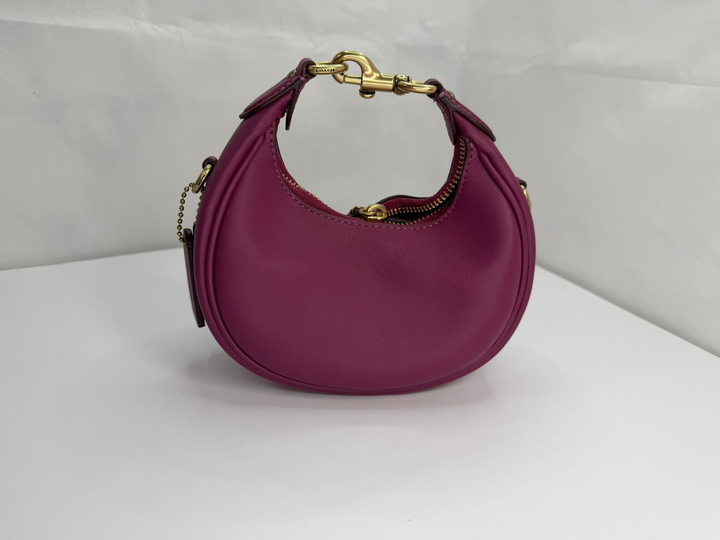 COACH Mini Crossbody