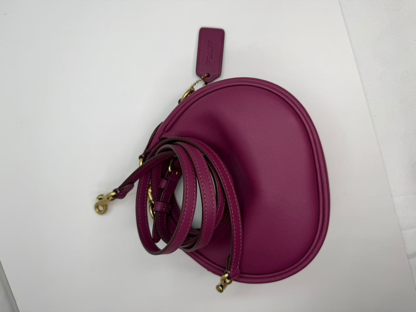 COACH Mini Crossbody